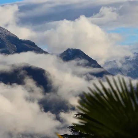 C11 Appartement Orselina